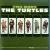 TURTLES - YOU BABY