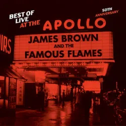James Brown & The Famous Flames - There Was A Time (1968)