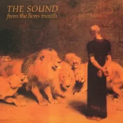 The Sound - The Fire