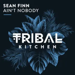 Sean Finn - Aint Nobody