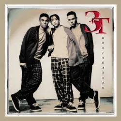 3T - 3t I Need You