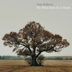 Sam Roberts - Dont Walk Away Eileen