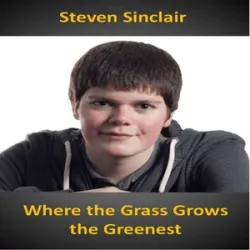 Steven Sinclair - Where The Grass Grows The Greenest