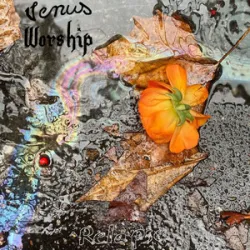Venus Worship - Relapse