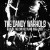 Dandy Warhols - We Used To Be Friends