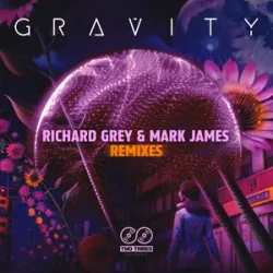 Richard Grey & Mark James - Gravity
