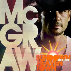 Tim McGraw Feat Catherine Dunn - Diamond Rings And Old Barstool