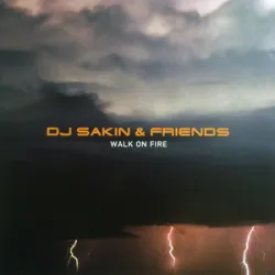 Dj Sakin & Friends - Protect Your Mind