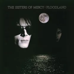 SISTERS OF MERCY - LUCRETIA MY REFLECTION
