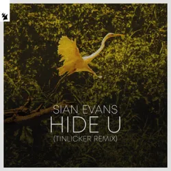 Sian Evans - Hide U
