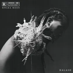 KALASH & MAVADO - God Knows